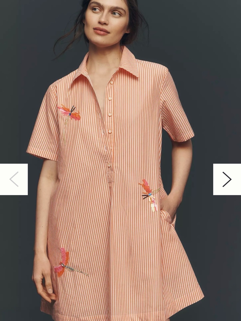 NWT Anthropologie Pollie Embroidered Dragonfly Mini Dress S $178